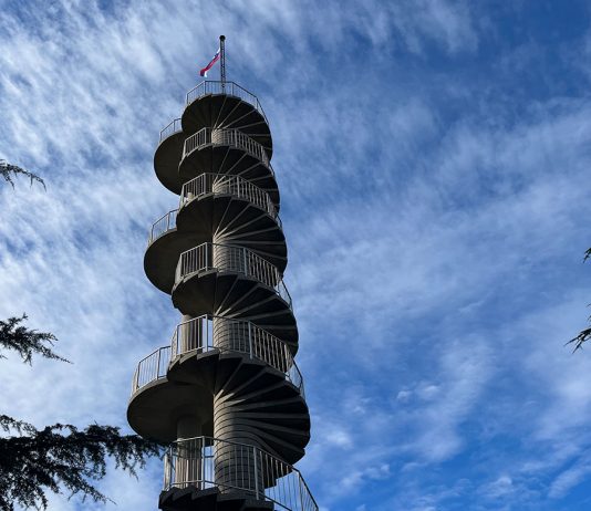 Blick über Smartno, Olivenöl- und Weinverkostung in Goriska Brda Blick-über-Smartno,-Olivenöl--und-Weinverkostung-in-Goriska-Brda-turm