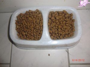 CIMG7700 (Kopie) (Kopie)