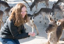 Das Kloster in Olimje und die Hirschfarm Jelenov Greben