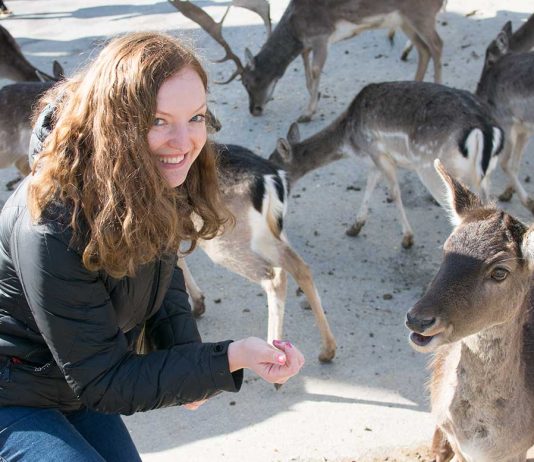Das Kloster in Olimje und die Hirschfarm Jelenov Greben