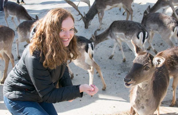 Das Kloster in Olimje und die Hirschfarm Jelenov Greben