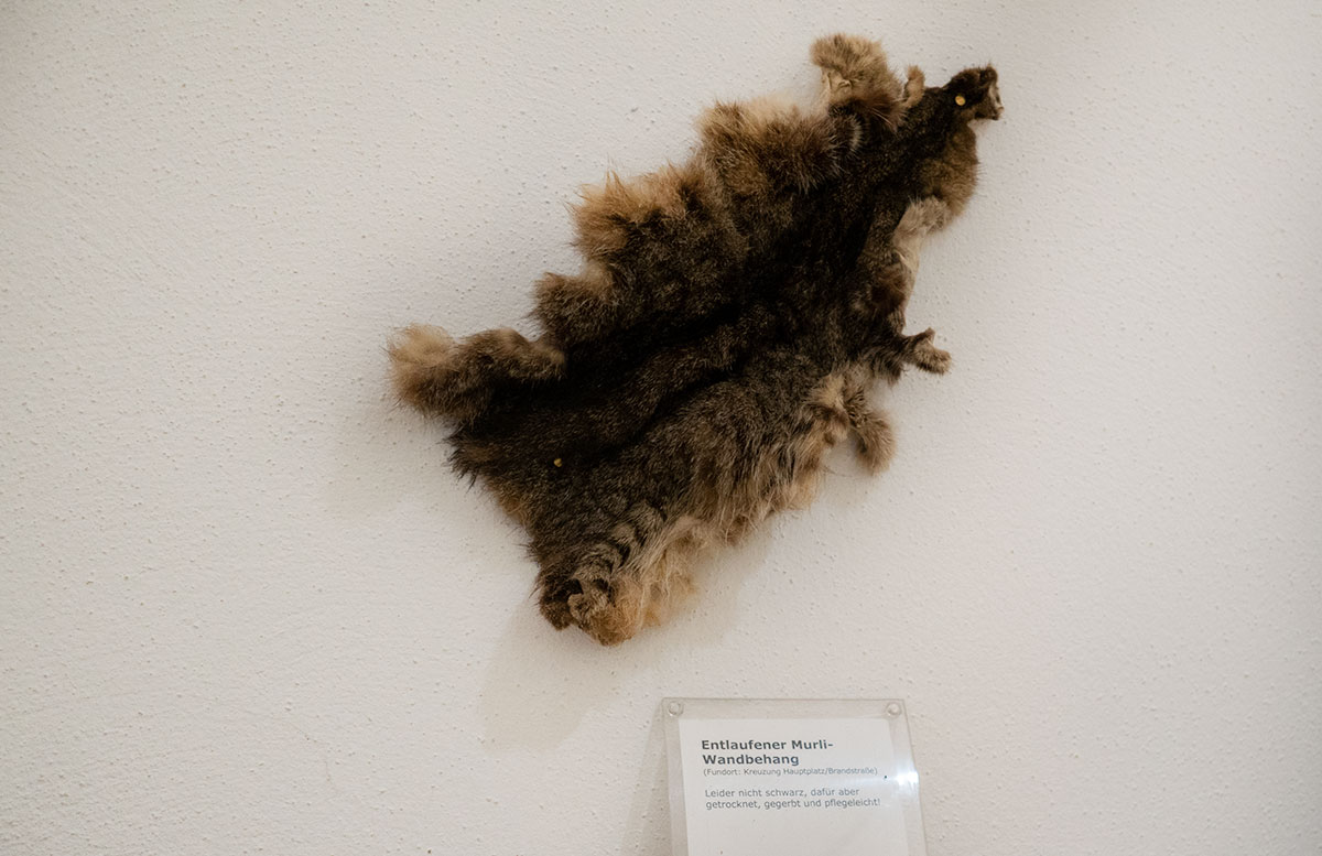 Das-Nonseum-und-das-Museumsdorf-Niedersulz-im-Weinviertel-entlaufener-murli