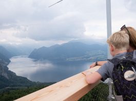 Der Baumwipfelpfad am Grünberg in Gmunden blick auf den see