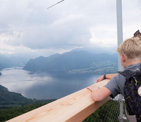 Der Baumwipfelpfad am Grünberg in Gmunden Der Baumwipfelpfad am Grünberg in Gmunden blick auf den see