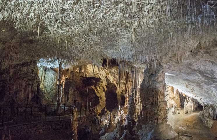 Die-Höhle-von-Postojna-höhlenwanderung-Makkaroni-Halle