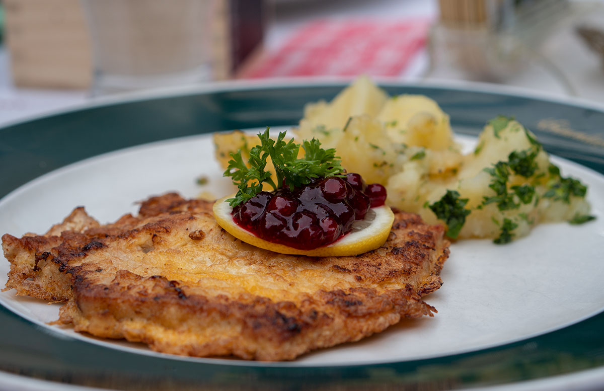 Die-Krimmler-Wasserfälle---die-größten-Wasserfälle-Europas-hotel-krimmlerfälle-schnitzel