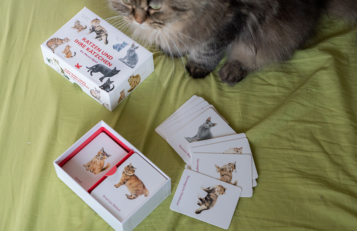 Dino,-Katzen-und-Märchen-Spielespaß-vom-Laurence-King-Verlag-KATZEN-memory