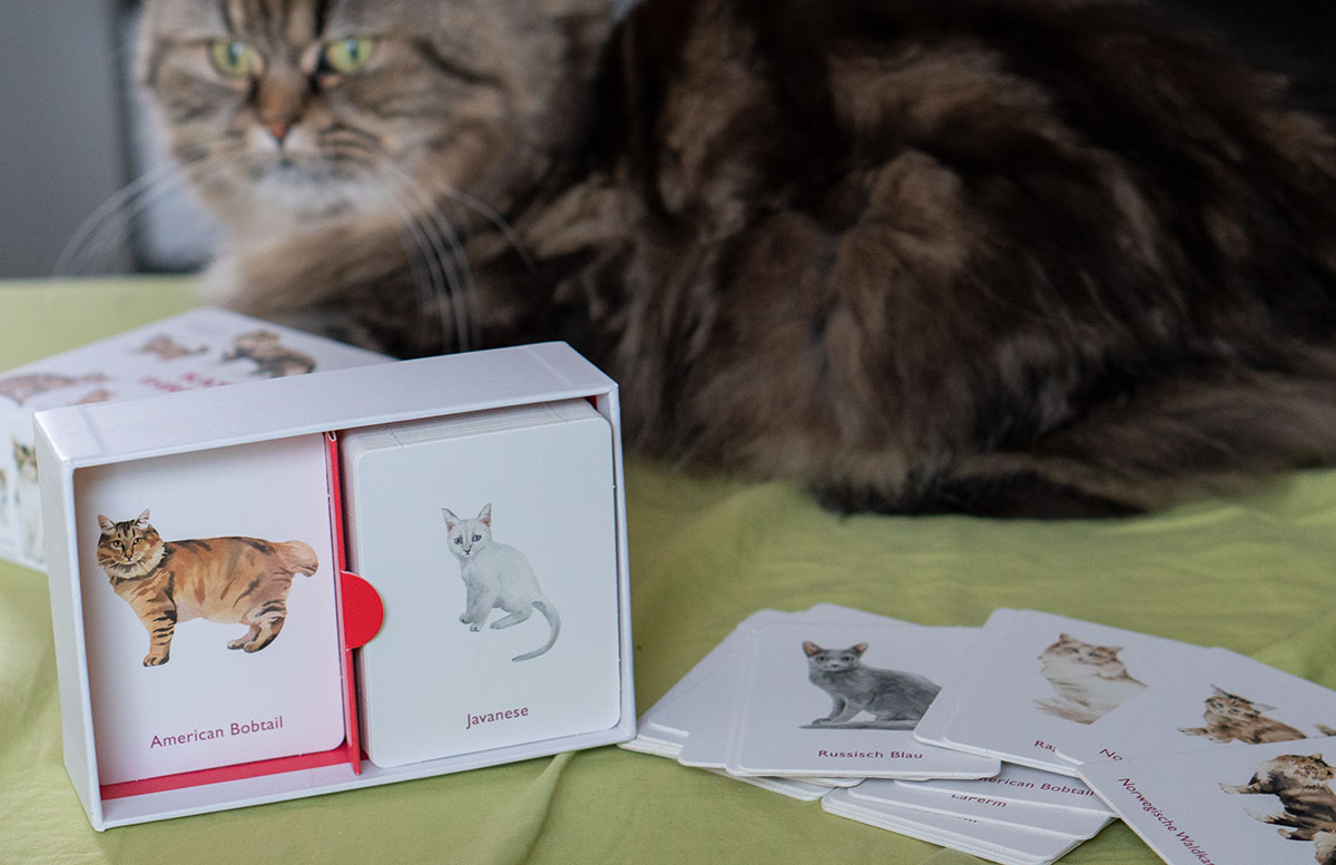 Dino,-Katzen-und-Märchen-Spielespaß-vom-Laurence-King-Verlag-SPIEL-DETAIL