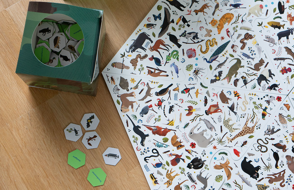Dino,-Katzen-und-Märchen-Spielespaß-vom-Laurence-King-Verlag-dschungel-detail