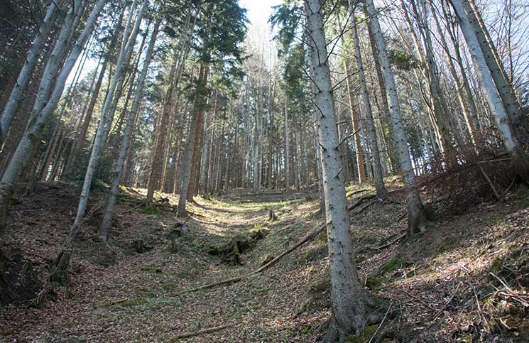 Dreh-und-Drink-schneeberg-quelle-für-produktion