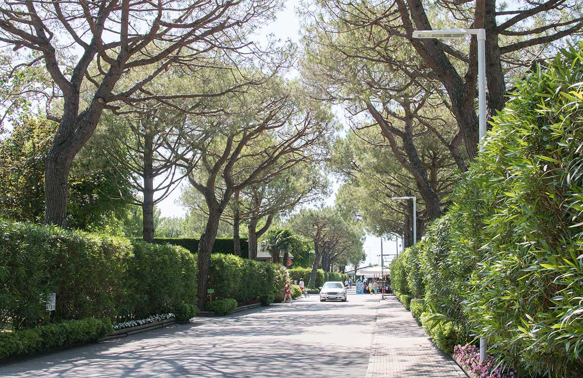 Europa Camping Village Cavallino Venezia viel grün