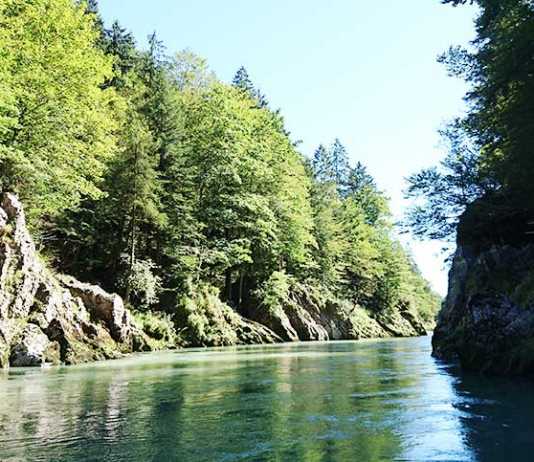 Familienrafting und Sommerrodeln im Kaiserwinkl Familienrafting-und-Sommerrodeln-im-Kaiserwinkl-tiroler-ache