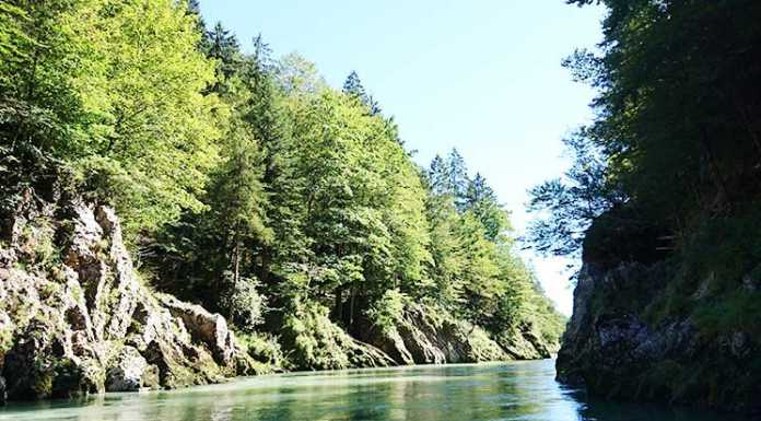 Familienrafting und Sommerrodeln im Kaiserwinkl Familienrafting-und-Sommerrodeln-im-Kaiserwinkl-tiroler-ache