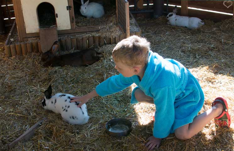 Familienurlaub-im-Hotel-Oberforsthof-hasenstall-hasen-füttern