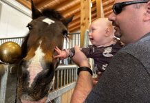 Familotel Landgut Furtherwirt in Kirchdorf Tirol Familotel-Landgut-Furtherwirt-in-Kirchdorf-Tirol-baby-und-pferd