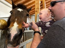 Familotel-Landgut-Furtherwirt-in-Kirchdorf-Tirol-baby-und-pferd