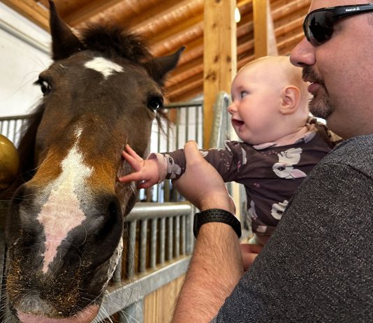 Familotel Landgut Furtherwirt in Kirchdorf Tirol Familotel-Landgut-Furtherwirt-in-Kirchdorf-Tirol-baby-und-pferd