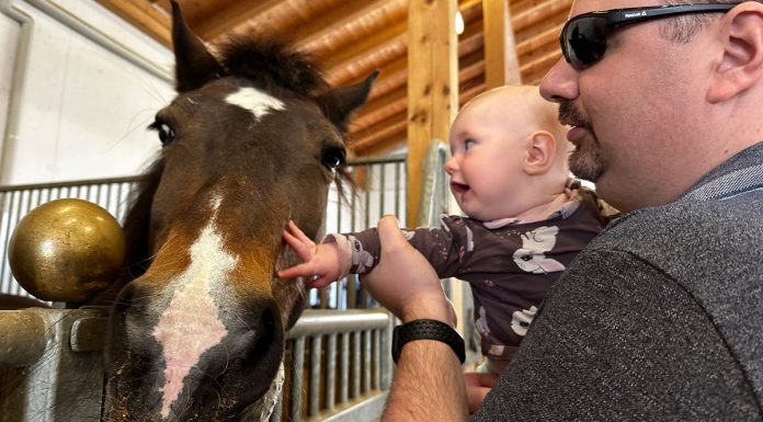 Familotel Landgut Furtherwirt in Kirchdorf Tirol Familotel-Landgut-Furtherwirt-in-Kirchdorf-Tirol-baby-und-pferd