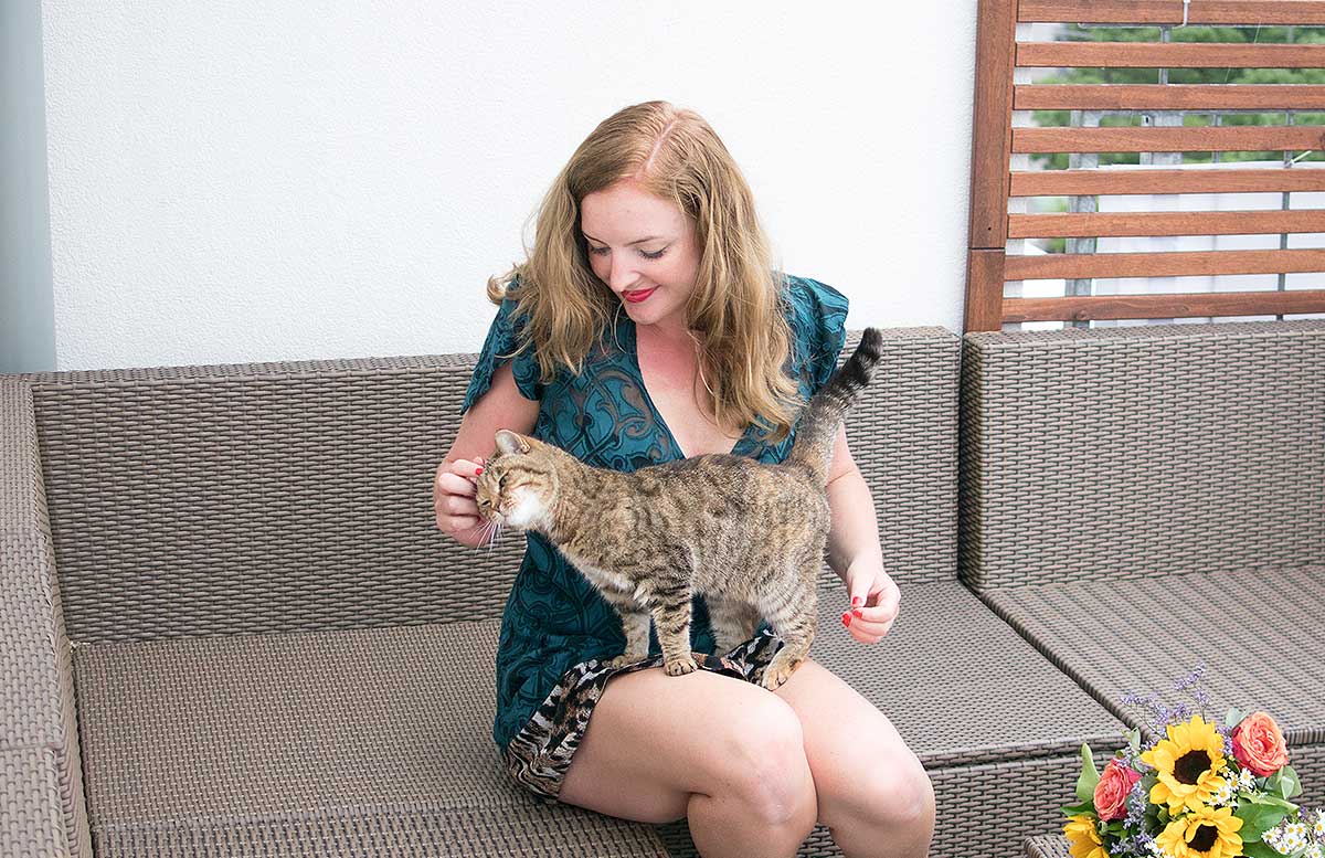 10 Gründe warum ein Leben mit Katze wunderschön ist
