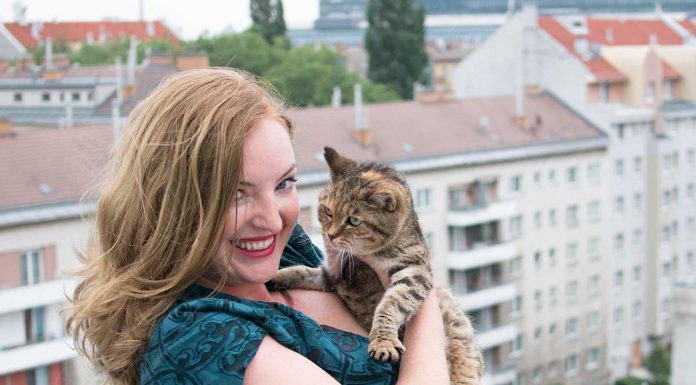 10 Gründe warum ein Leben mit Katze wunderschön ist