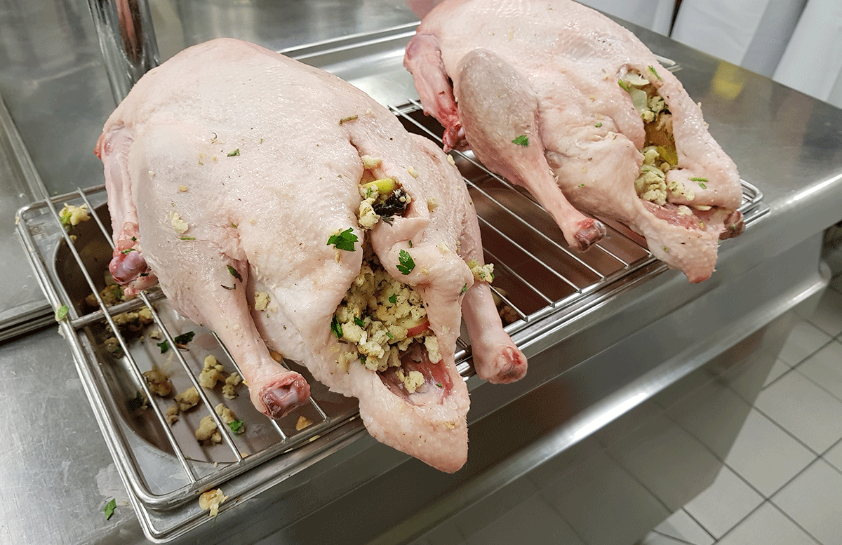 GEWINNSPIEL Gansl Steigenberger Hotel Herrenhof