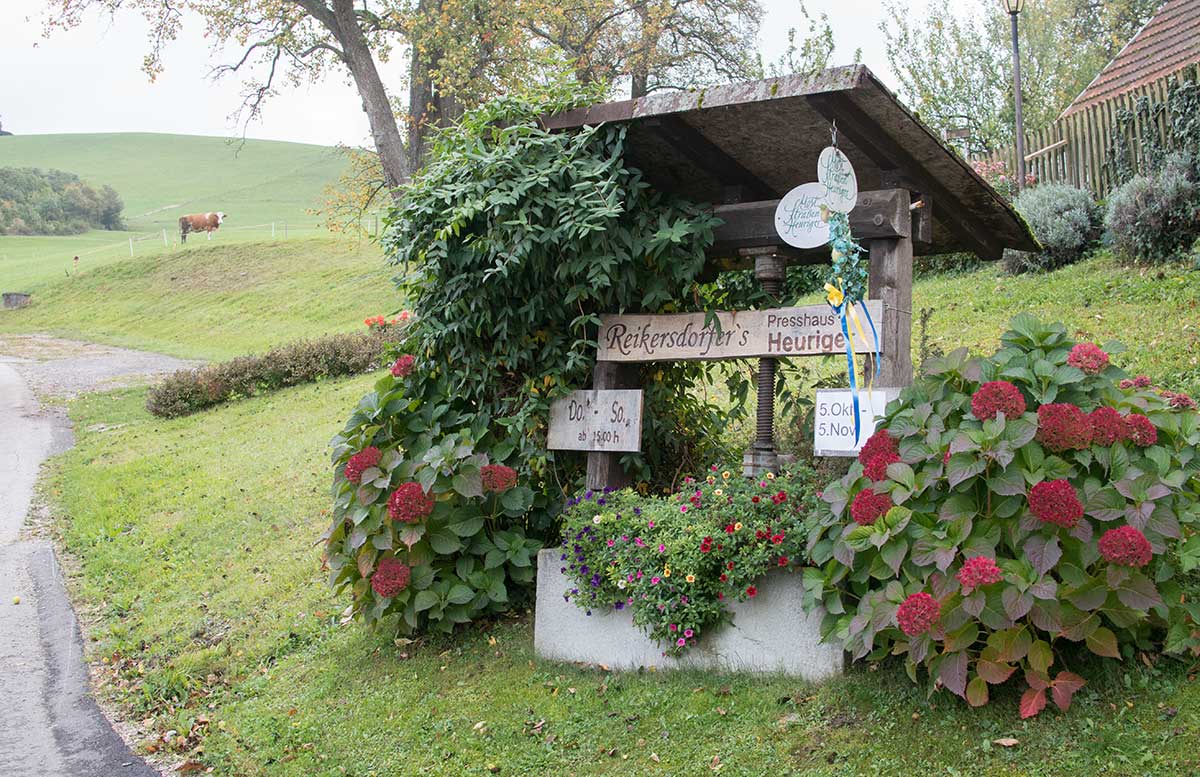 Genussreise-ins-Mostviertel---Von-Birnenmost-und-Apfelsenf-reikersdorfer
