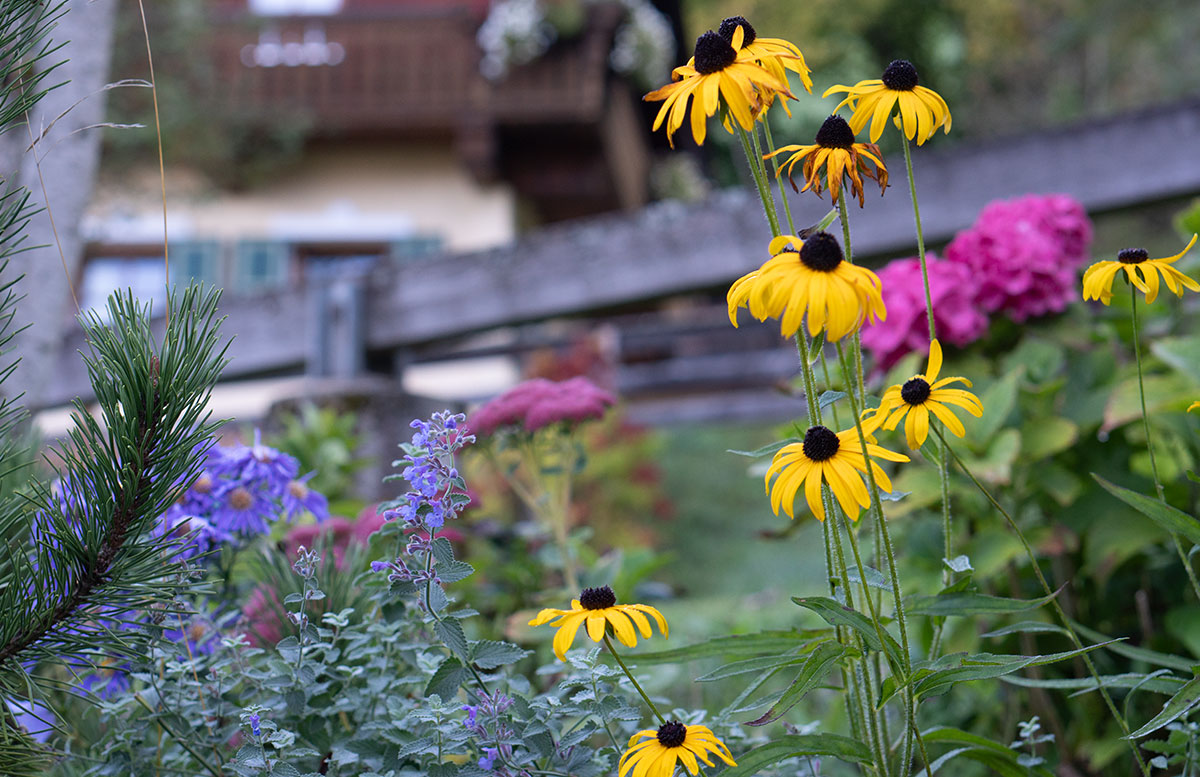 Gut-Berg-Naturhotel-mit-Bauernhof-blumen