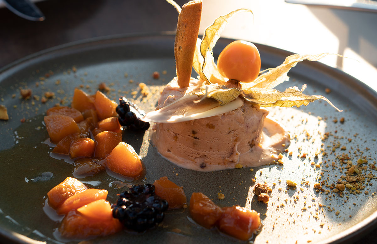Hotel-Donauschlinge-bei-der-Schloegener-Schlinge-eis-nachtisch