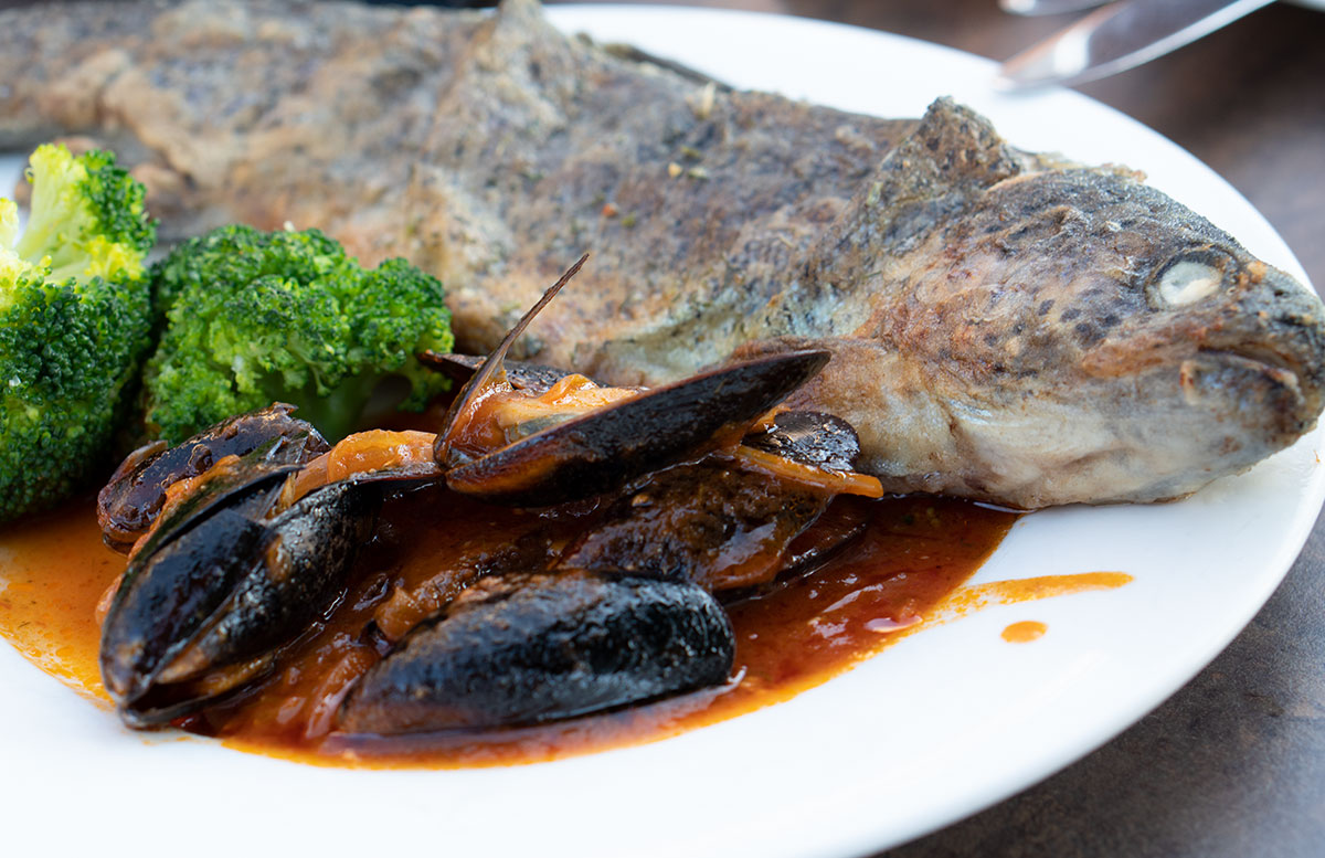 Hotel-Donauschlinge-bei-der-Schlögener-Schlinge-fisch-und-muscheln
