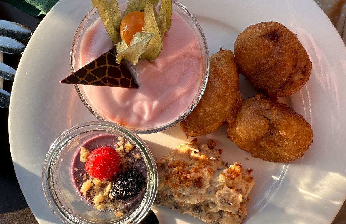 Hotel-Donauschlinge-bei-der-Schlögener-Schlinge-nachtisch