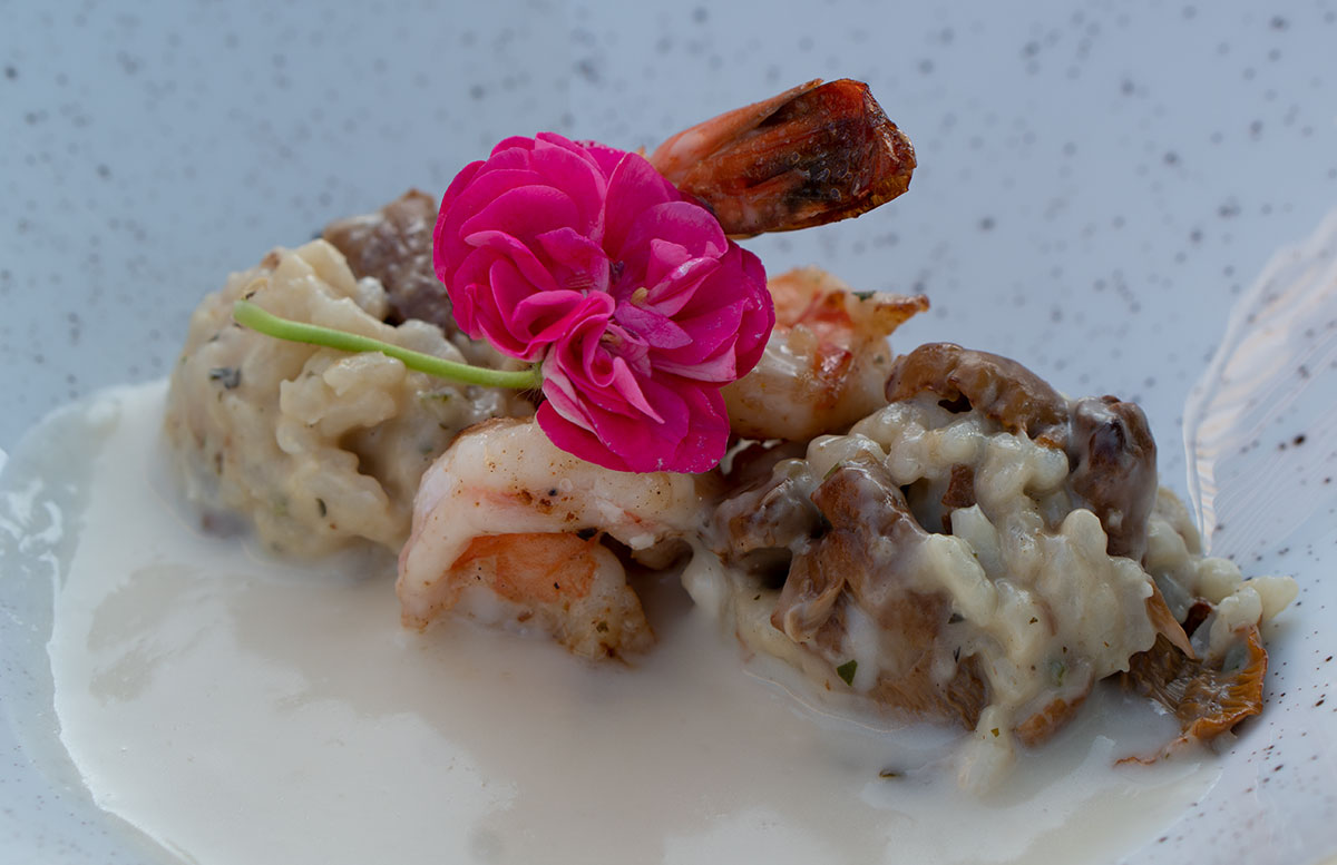 Hotel-Donauschlinge-bei-der-Schlögener-Schlinge-risotto