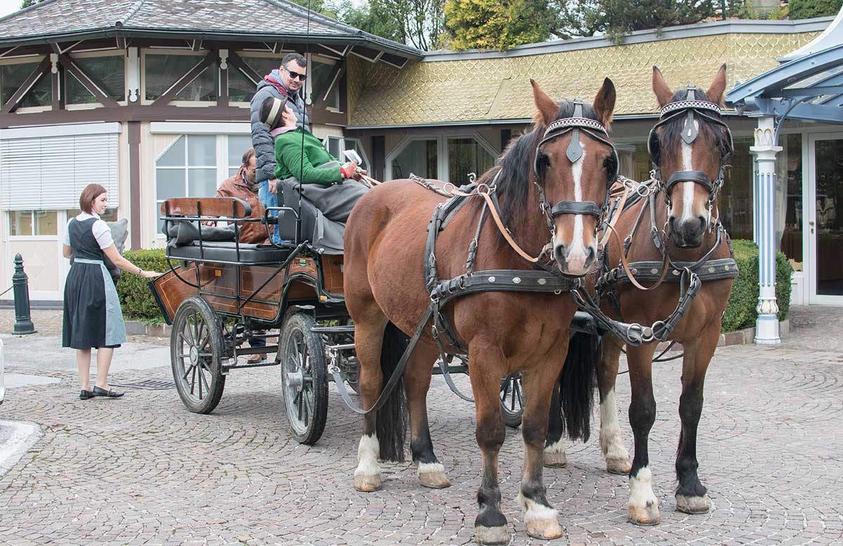 hotel-ebners-waldhof-am-see-kutschfahrt
