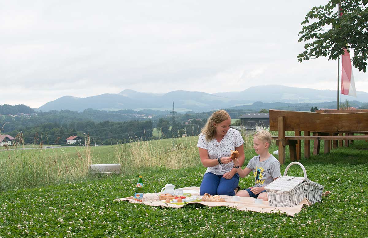 Hotel Gasthof Am Riedl in Koppl - der Riedlwirt frühstück im grünen picknick