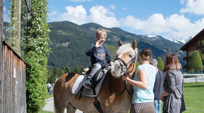 Hotel Gut Weissenhof in Radstadt