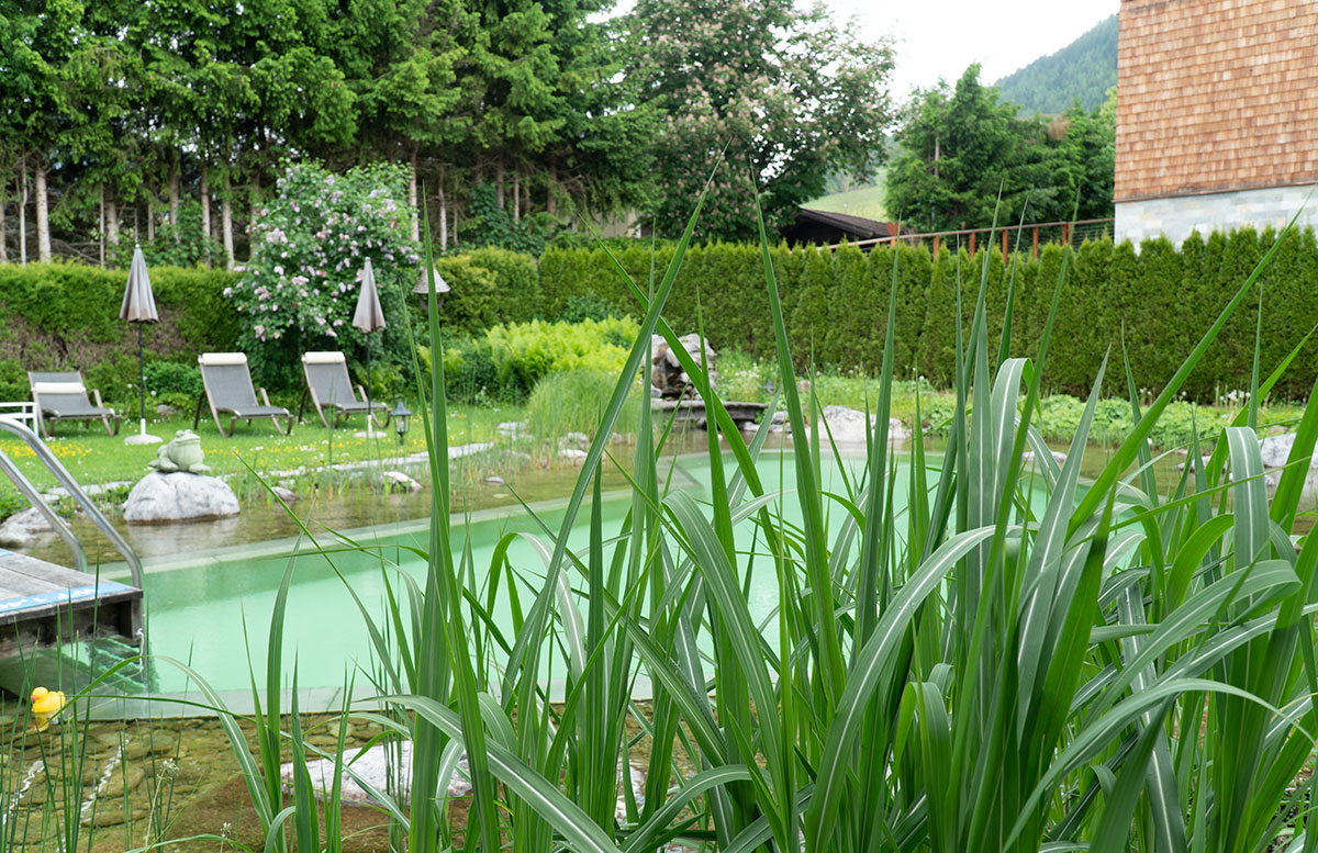 Hotel-Niederreiter-in-Maria-Alm-Salzburger-Land-bick-durch-das-schilf