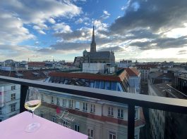 Hotel-Topaz-Lamee-in-Wien-stephansdom