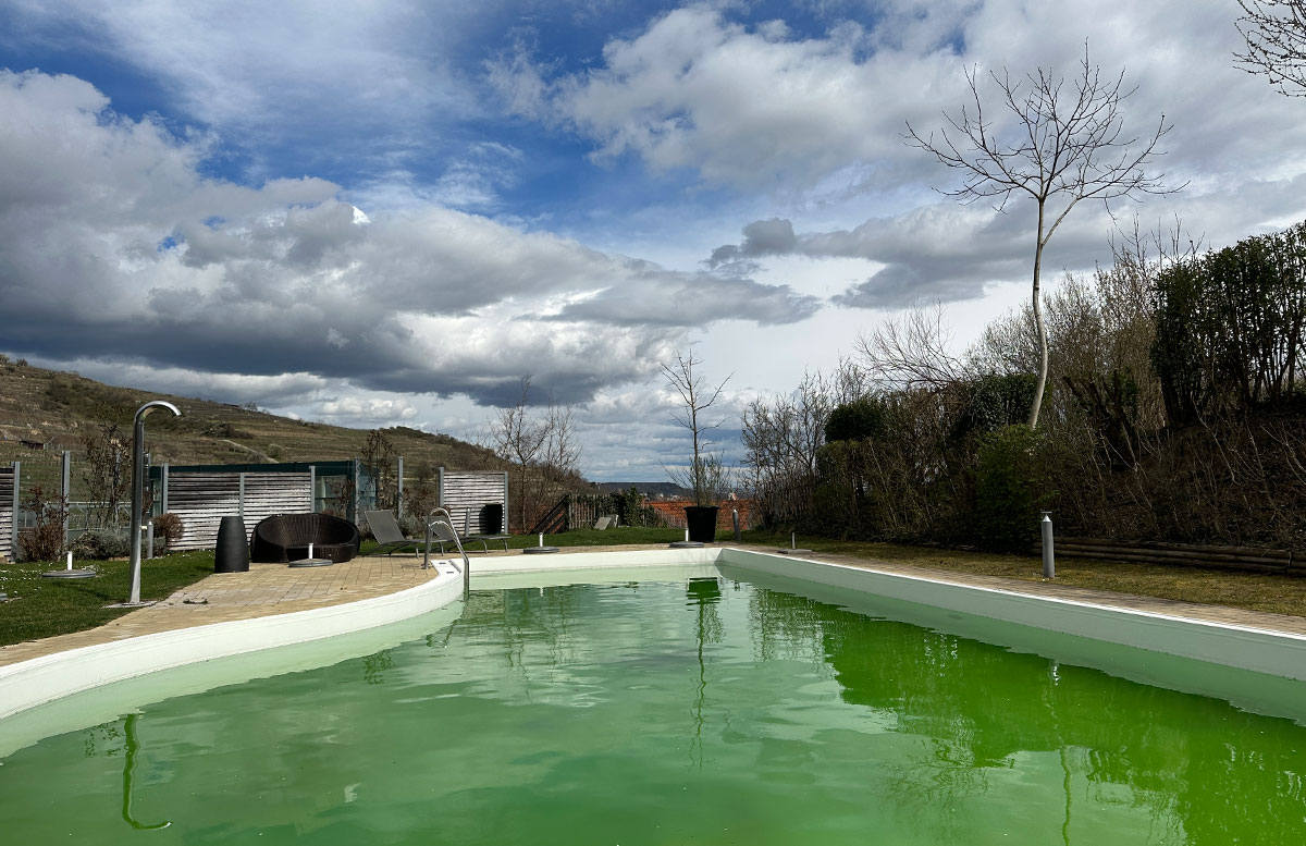 Hotel-und-Spa-Steigenberger-Krems-zur-Marillenblüte-sommerpool