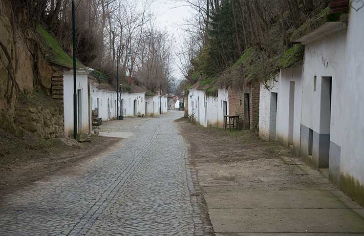 Kellergassenführung-im-Weinviertel-kellergassen-poysdorf
