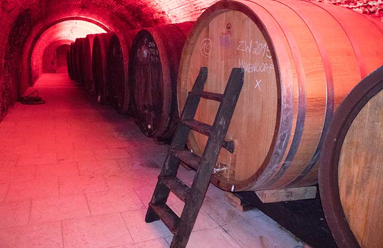 Kellergassenführung-im-Weinviertel-poydorf-wein-im-Keller