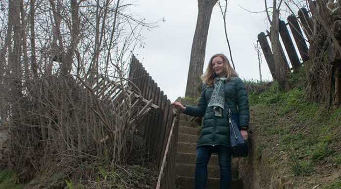 Kellergassenführung und Vino Versum Besuch in Poysdorf Kellergassenführung-im-Weinviertel-treppenaufstieg