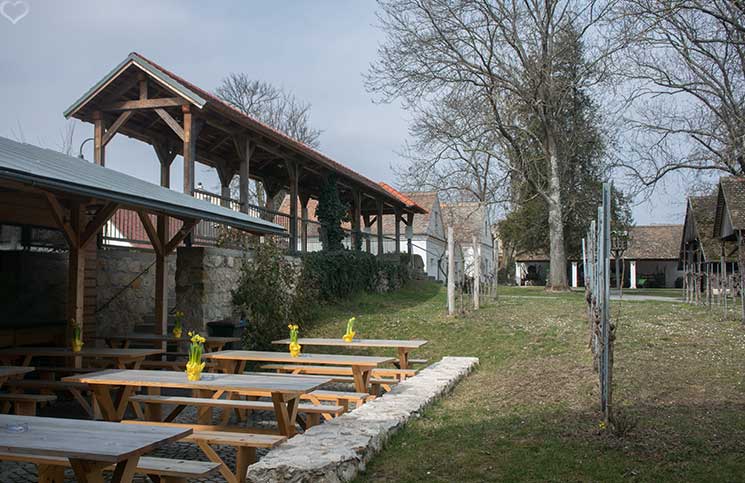 Kellergassenführung-im-Weinviertel-vino-versum-ausstellung