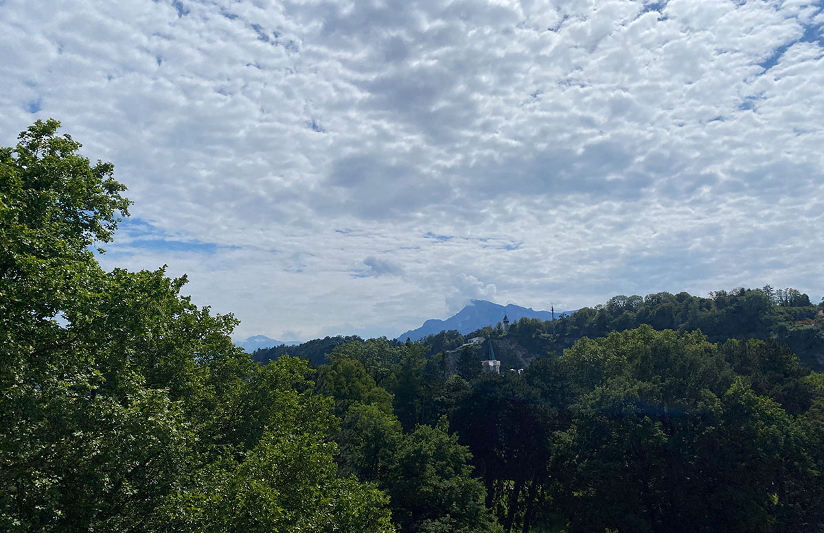 Mein-Geburtstag-im-Sheraton-Grand-Hotel-Salzburg blick auf den park