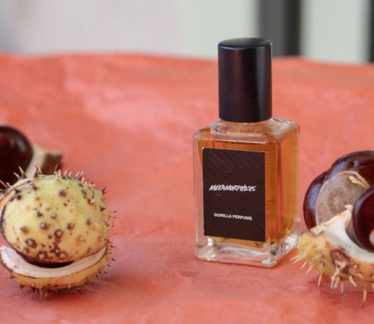 Meine Top 5 Beauty Favoriten im Herbst