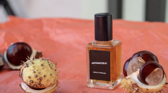 Meine Top 5 Beauty Favoriten im Herbst