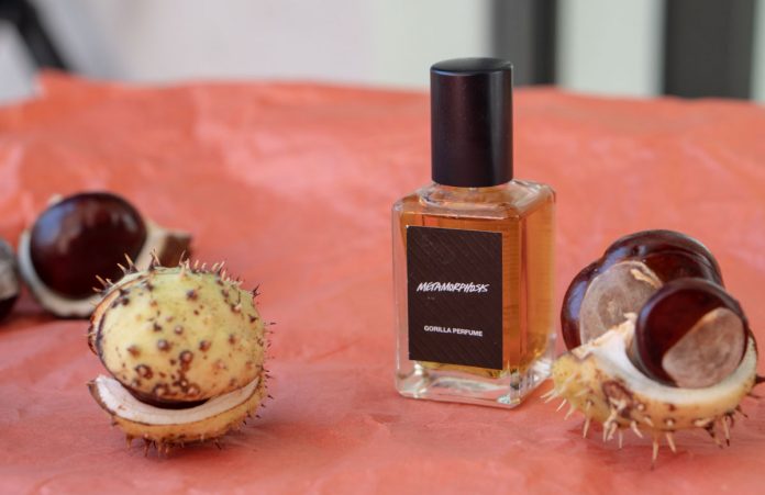 Meine Top 5 Beauty Favoriten im Herbst