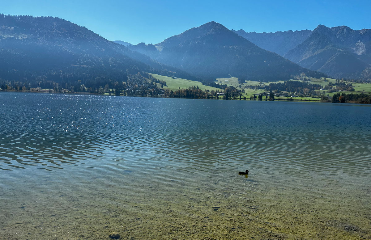 Natur-und-Kulinarik-im-Kaiserwinkl-walchsee-aussichgt