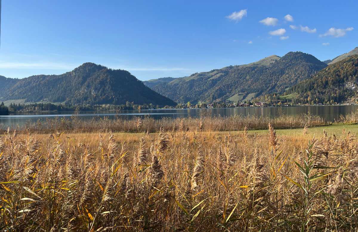 Natur-und-Kulinarik-im-Kaiserwinkl-walchsee-hafer