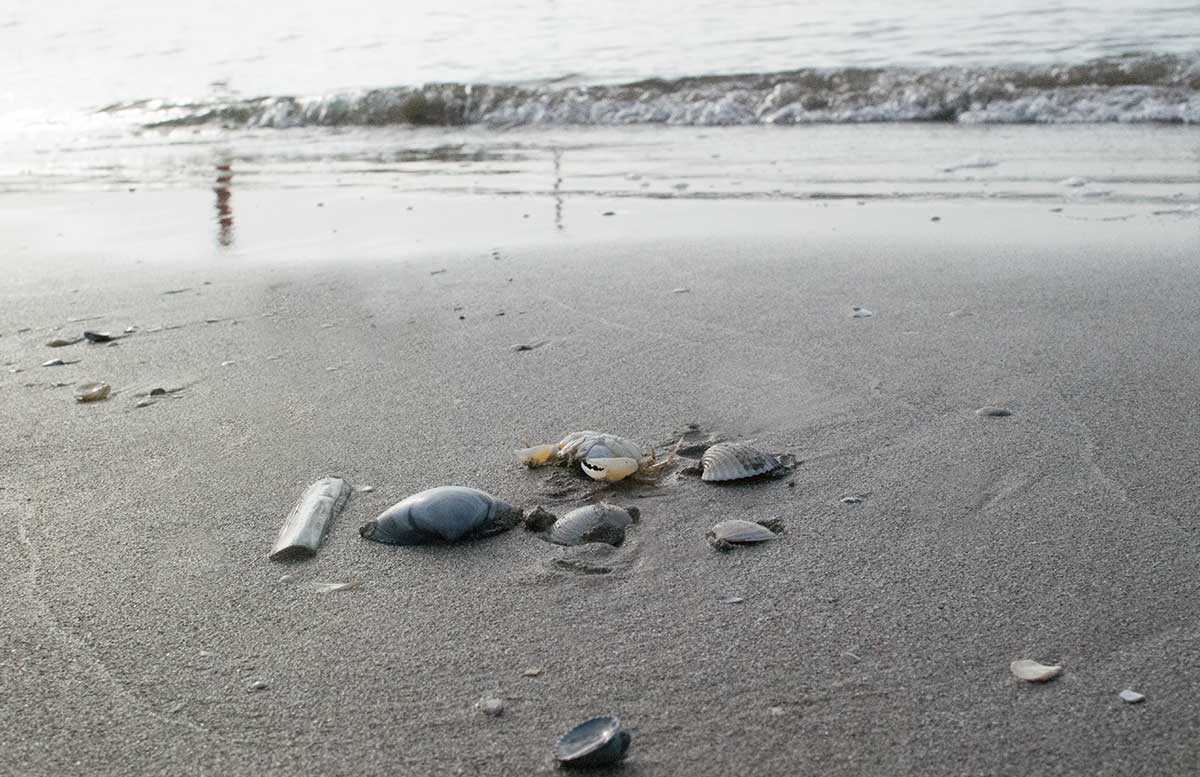 Sonnenschutz für die ganze Familie sonnenpflege produkte familie am strand