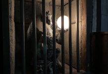 Open the door – Drachenhöhle 2.0 Open-the-door-Drachenhöhle-lampe-der-drache