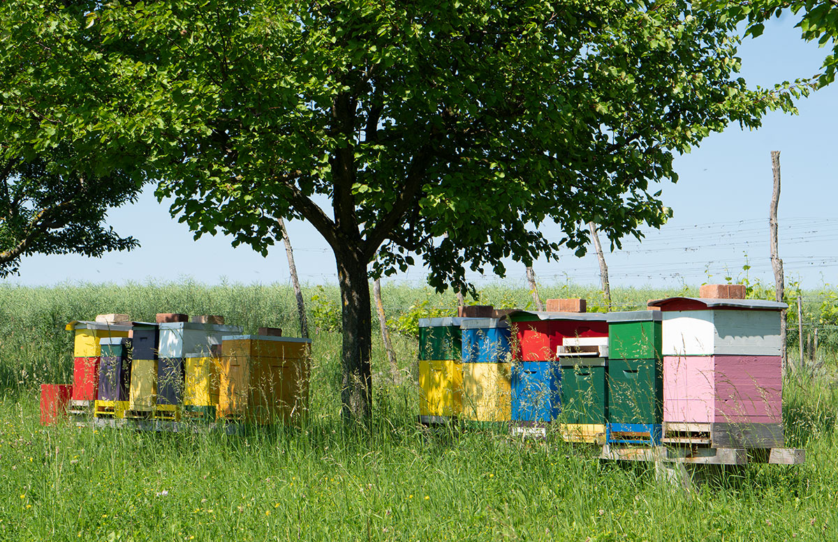 Parks-und-Gärten-in-Niederösterreich-und-Südmähren-bienenhotel-bauerngarten parbus